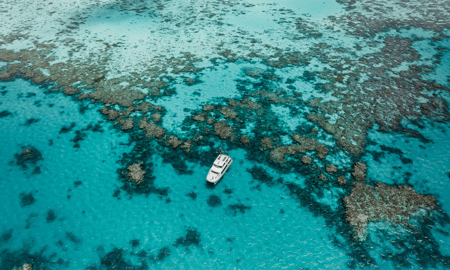 Ngắm rạn san hô The Great Barrier Reef vào mùa hè tại Úc