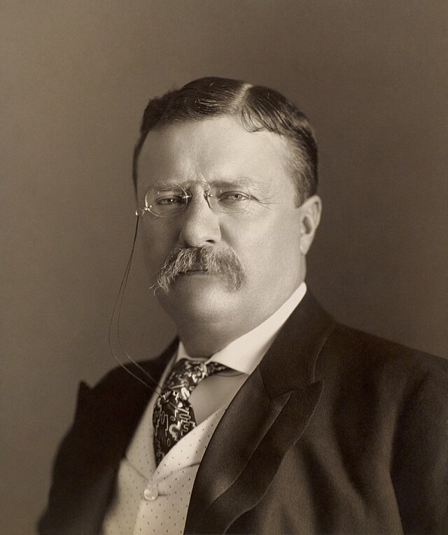 Tổng thống Theodore Roosevelt