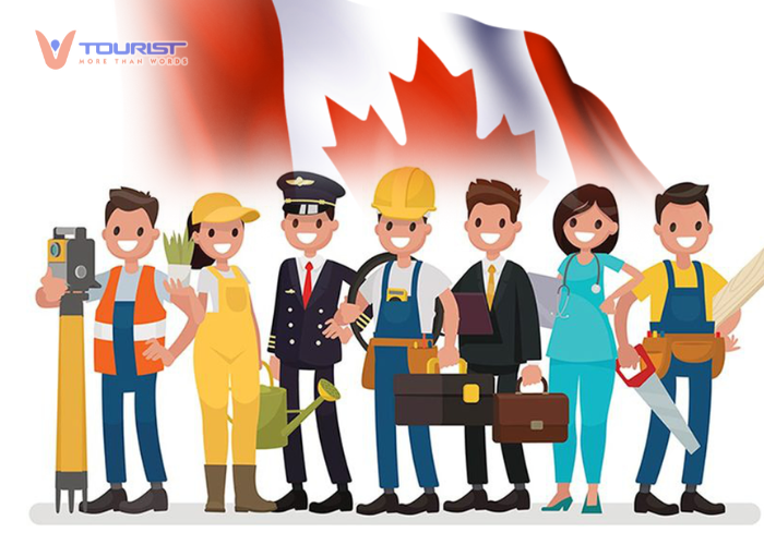 Visa Canada lao động tạm thời