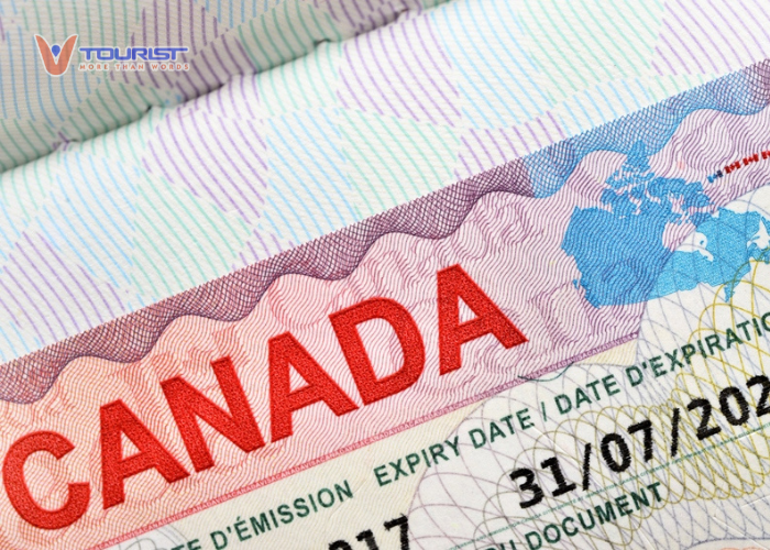 Visa du lịch Canada một lần nghĩa là bạn chỉ được phép nhập cảnh vào Canada một lần duy nhất