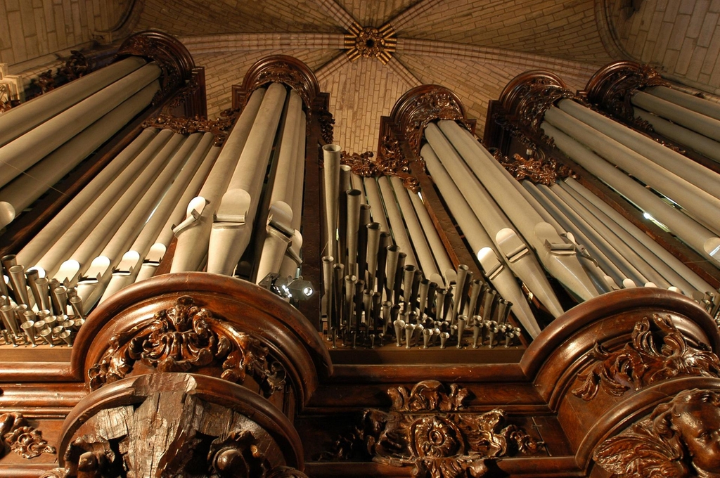 Cây đàn Organ