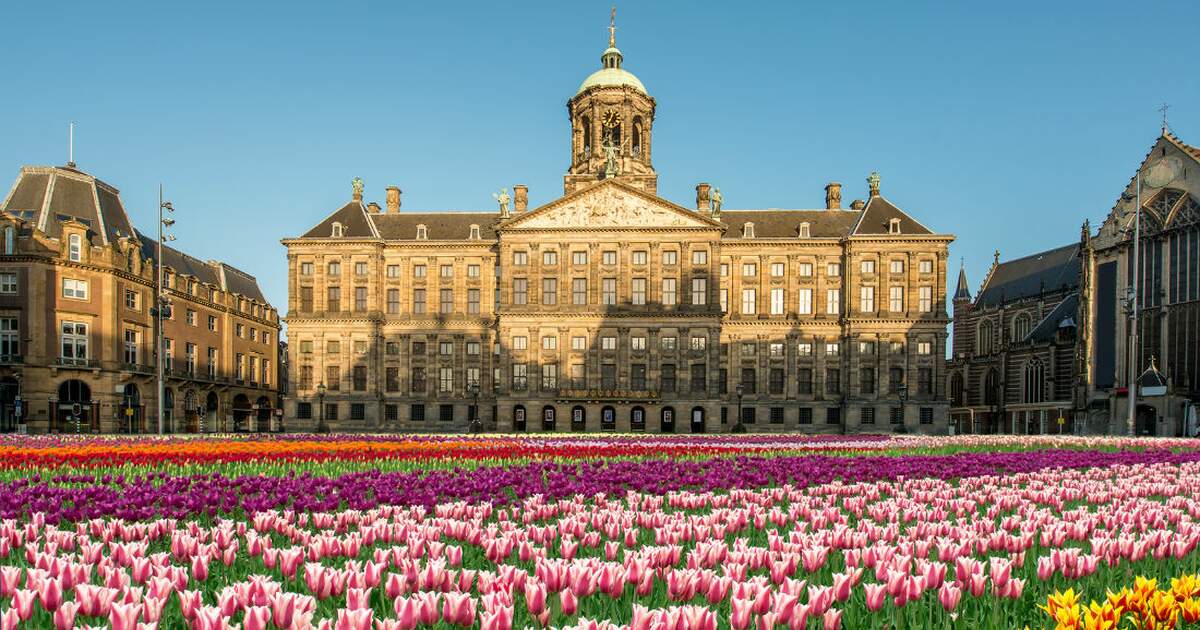 Vườn hoa Tulip ở Amsterdam nở rộ rực rỡ tạo nên bức tranh thiên nhiên xinh đẹp khiến bạn phải trầm trồ trong tour Châu Âu mùa xuân