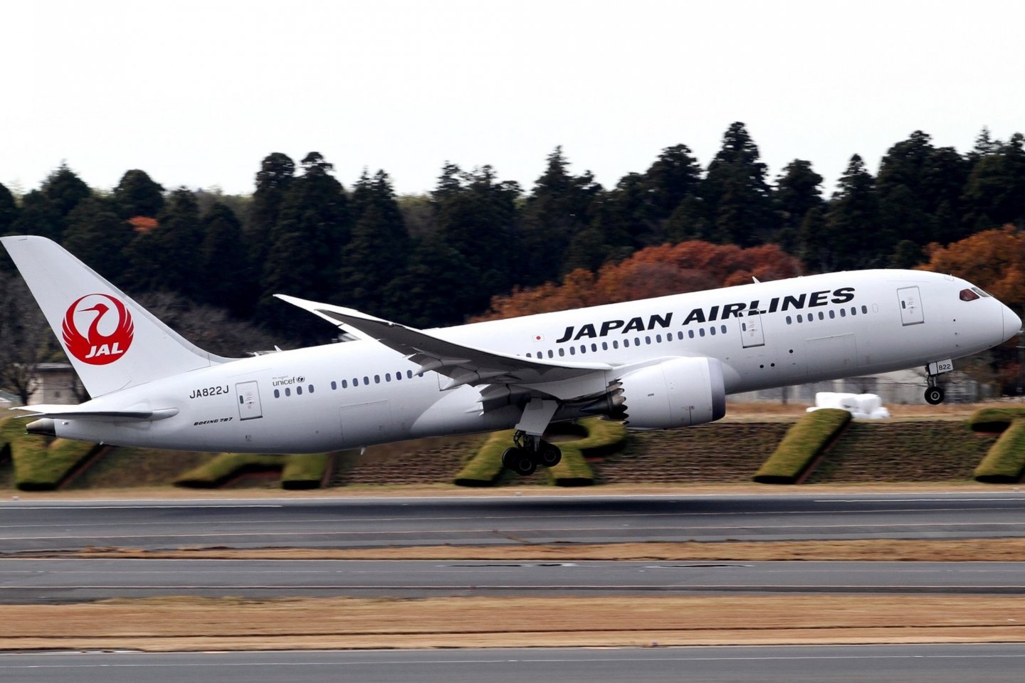 Hãng hàng không Japan Airlines