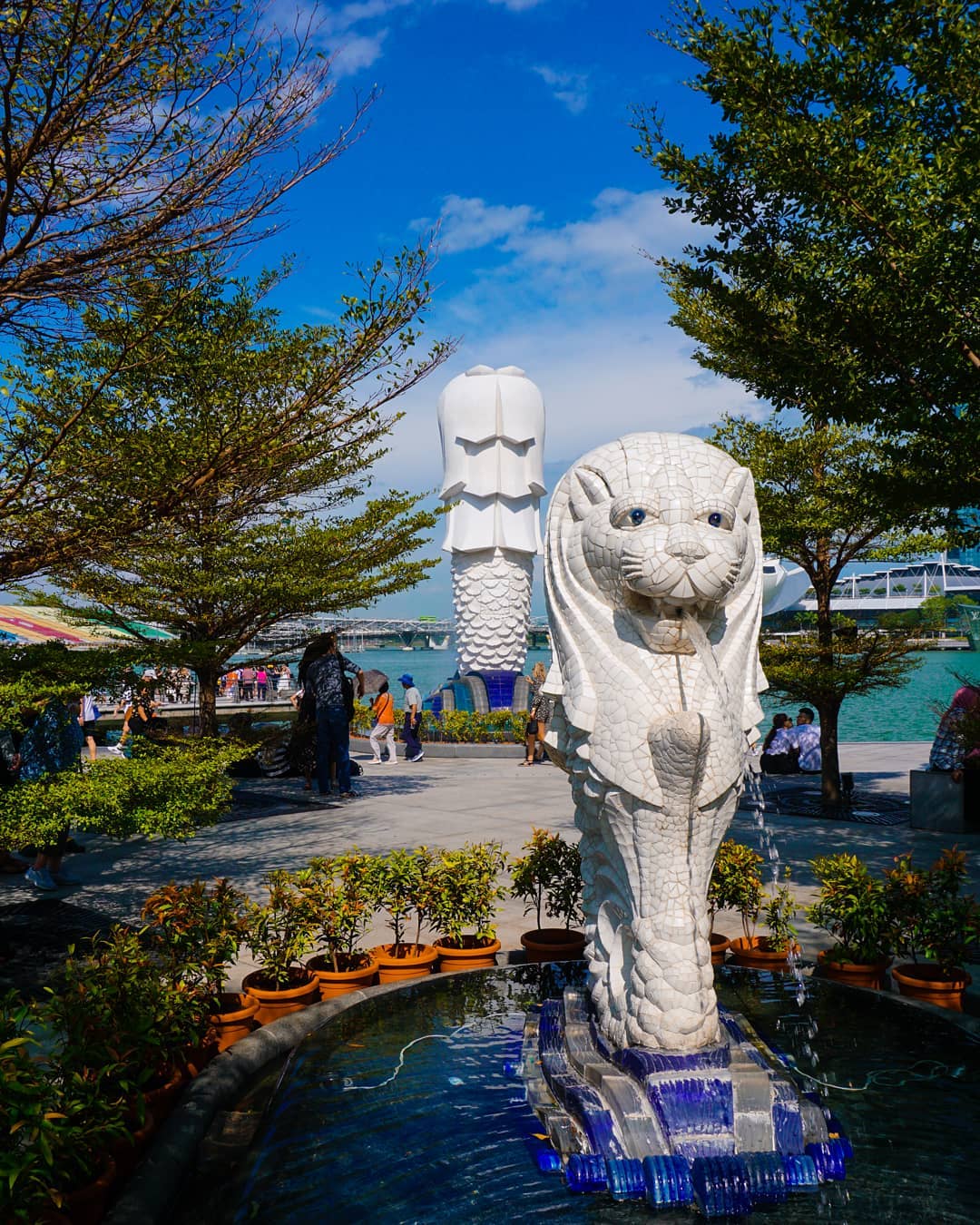 Merlion Cub