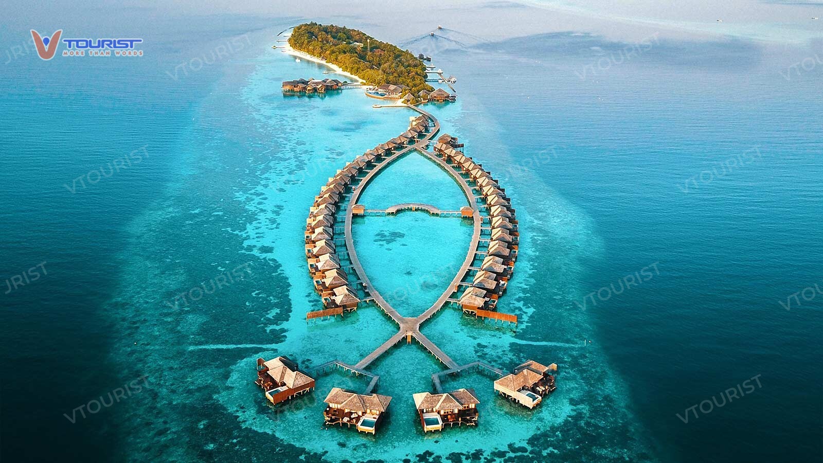 Maldives ghi nhận với hơn năm trăm ngàn rạn san hô và rất nhiều sinh vật biển sinh sống