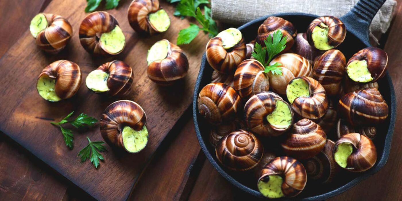 Ốc sên Escargot