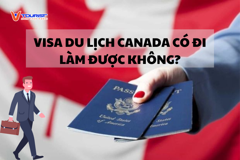 Visa du lịch Canada không được sử dụng để đi làm