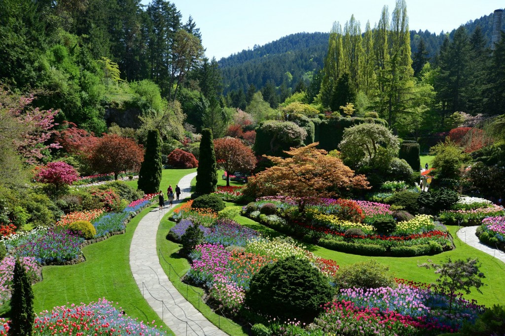 Butchart Garden là một vườn hoa rực rỡ màu sắc khiến bạn phải thích thú