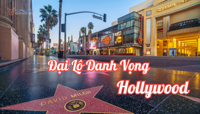 Đại lộ Danh vọng Hollywood là biểu tượng về sự thịnh vượng và vinh quang của ngành điện ảnh toàn cầu. Nơi vinh danh những nghệ sĩ như Bruce Lee, Angelina Jolie, Brad Pitt