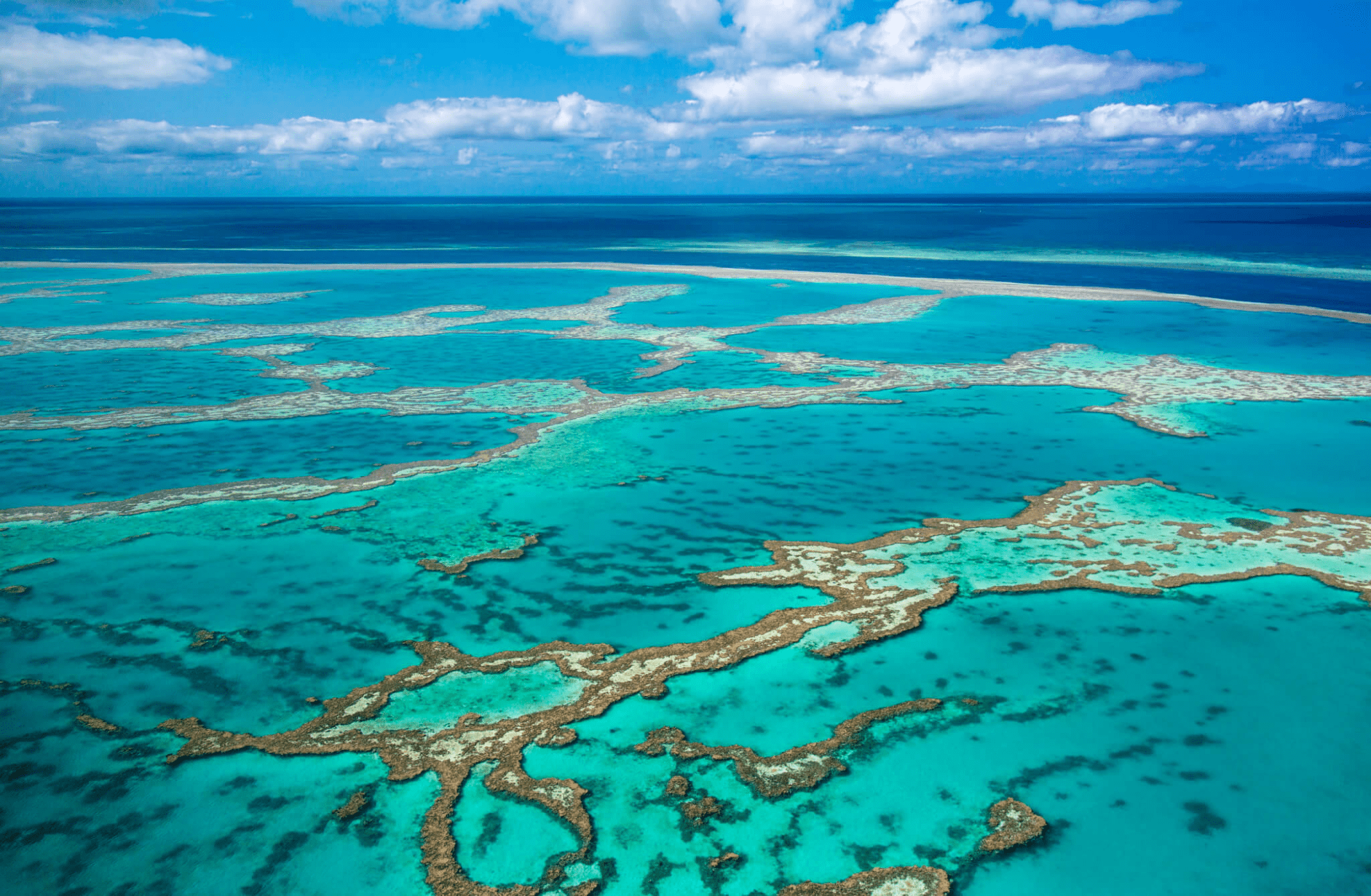 Ngắm rạn san hô The Great Barrier Reef vào mùa hè tại Úc