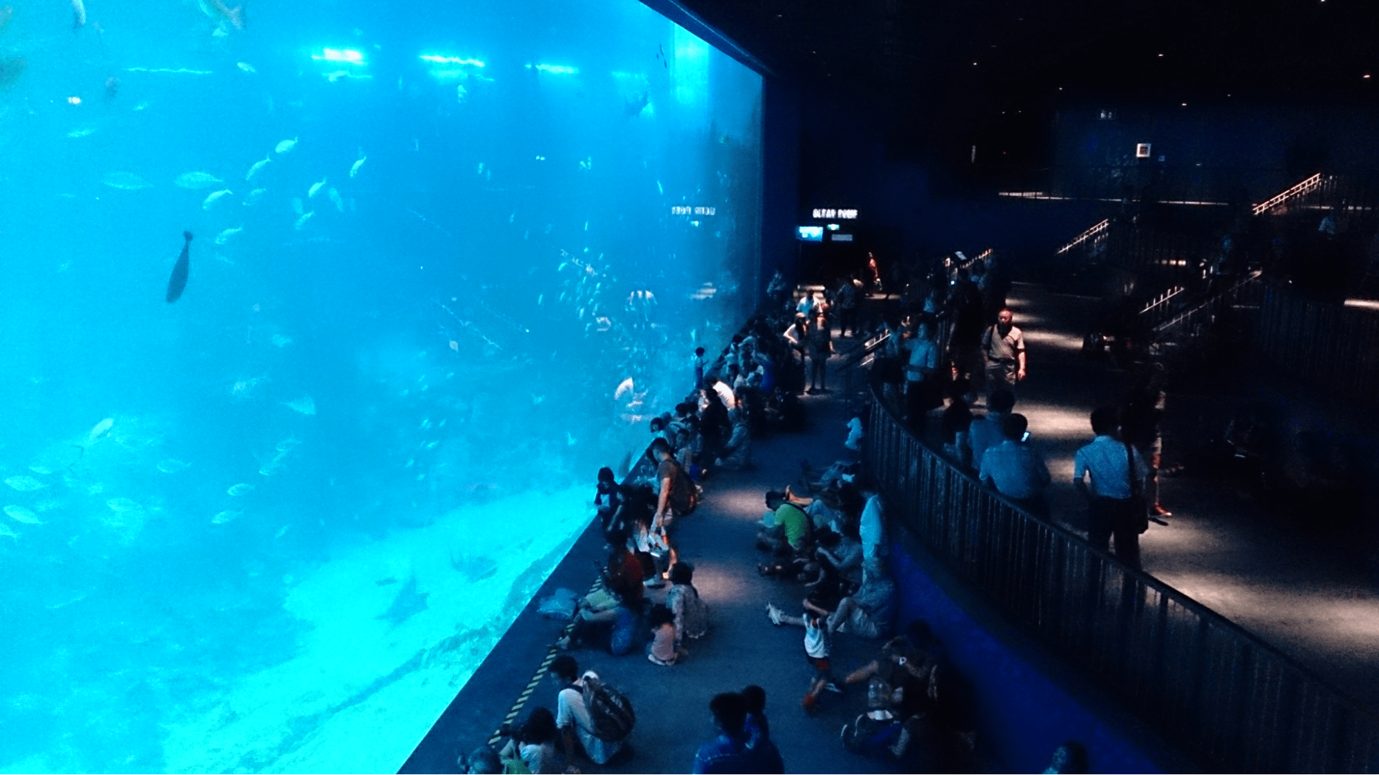 Sea Aquarium Singapore