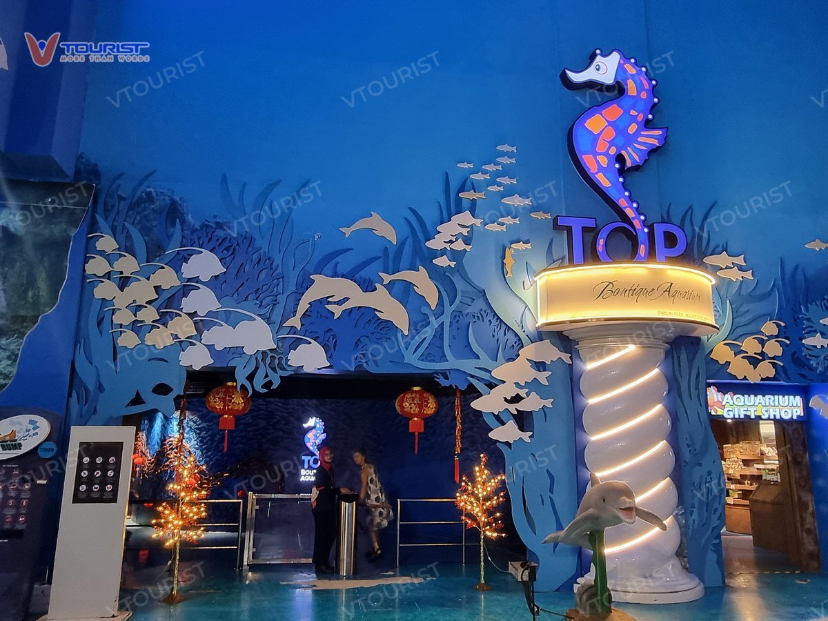 Thuỷ Cung Boutique Aquarium