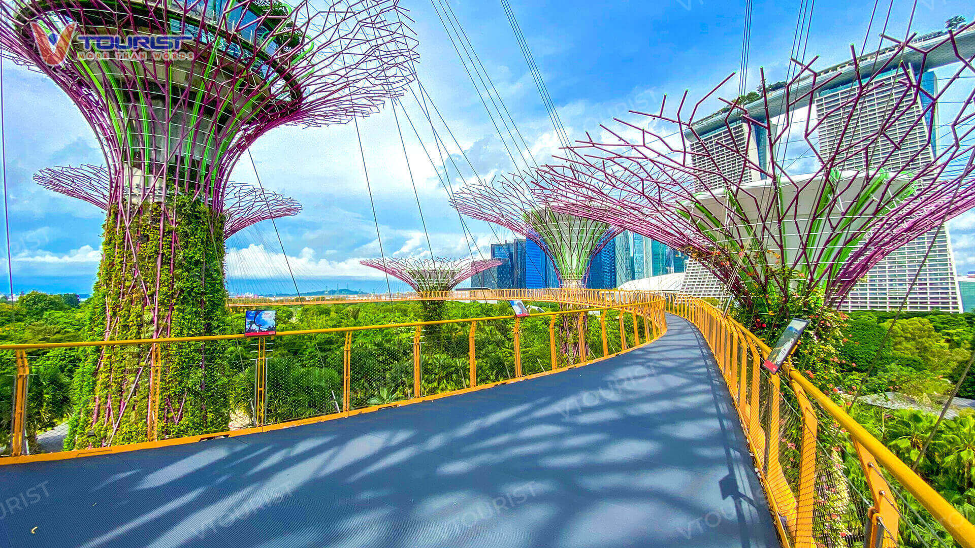 OCBC Skyway - cây cầu đi bộ trên không mang đến cái nhìn toàn cảnh về Gardens by the Bay