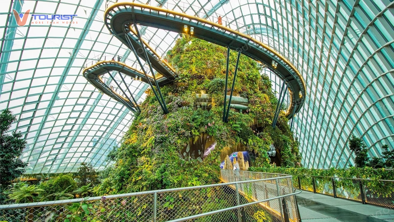 Cloud Forest là khu vực tái hiện quang cảnh của một khu rừng nhiệt đới chân thật