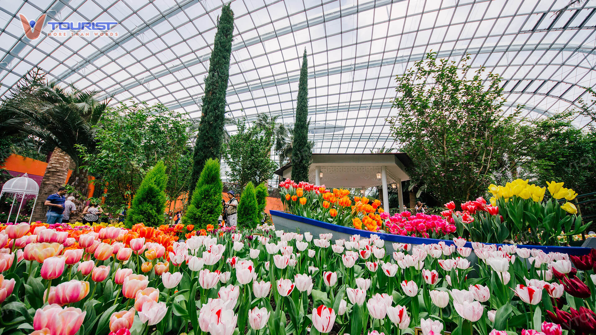 Đến Flower Dome du khách sẽ được chiêm ngưỡng nhiều buổi triển lãm hoa theo mùa vô cùng độc đáo