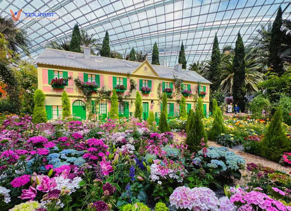 Flower Dome là nơi trưng bày một bộ sưu tập ấn tượng về các loài hoa