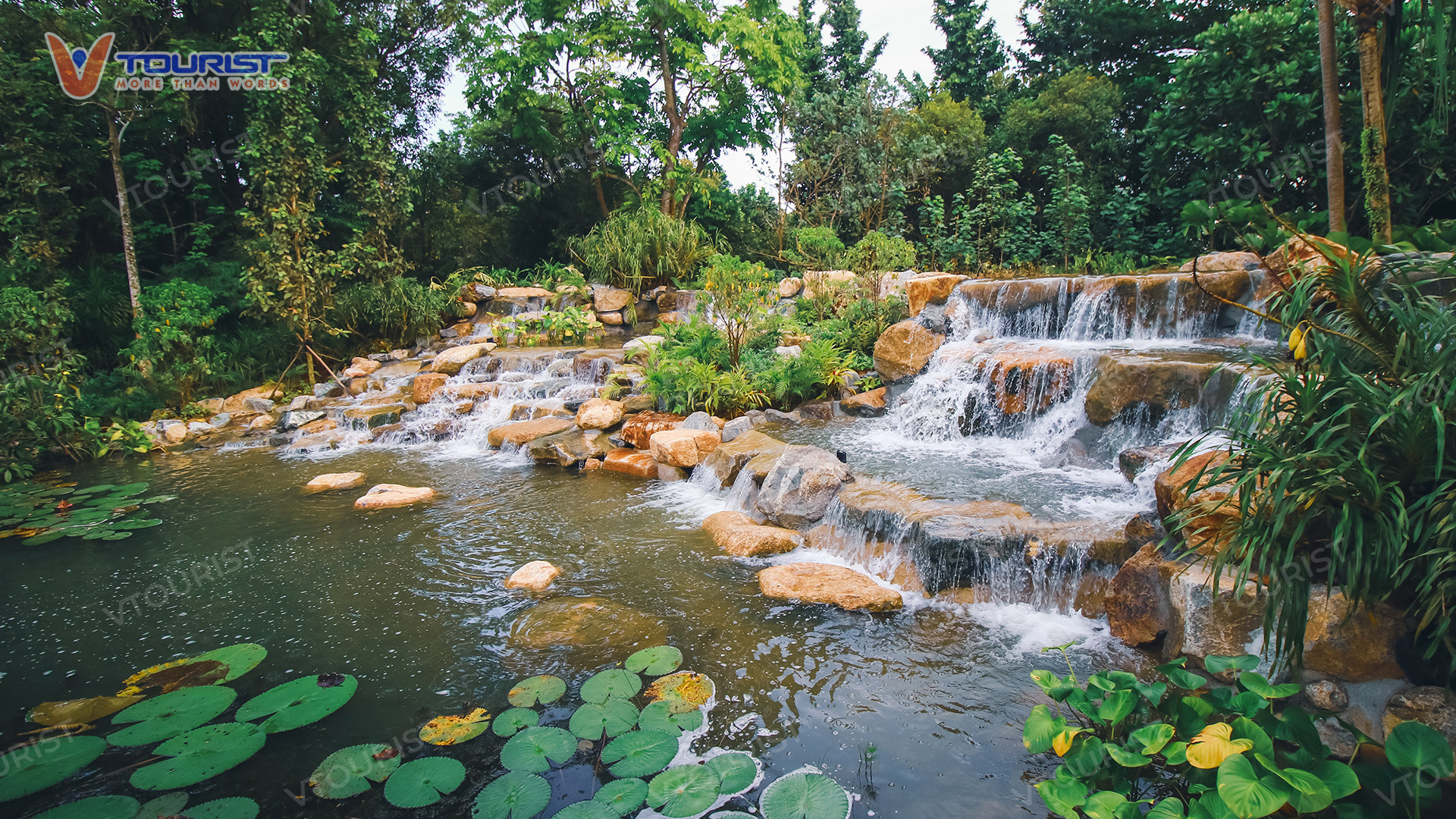 Kingfisher Wetlands mô tả cái nhìn chân thực về môi trường sống đầm lầy của các loài động vật hoang dã