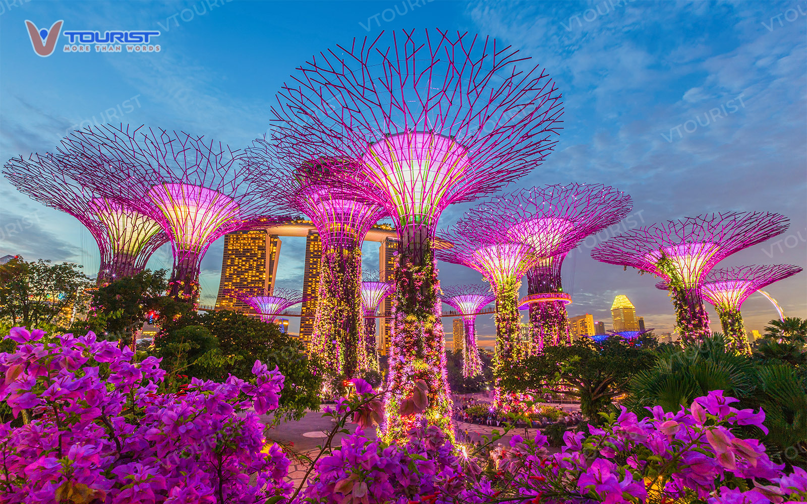 Gardens by the Bay - Vườn địa đàng giữa lòng Singapore