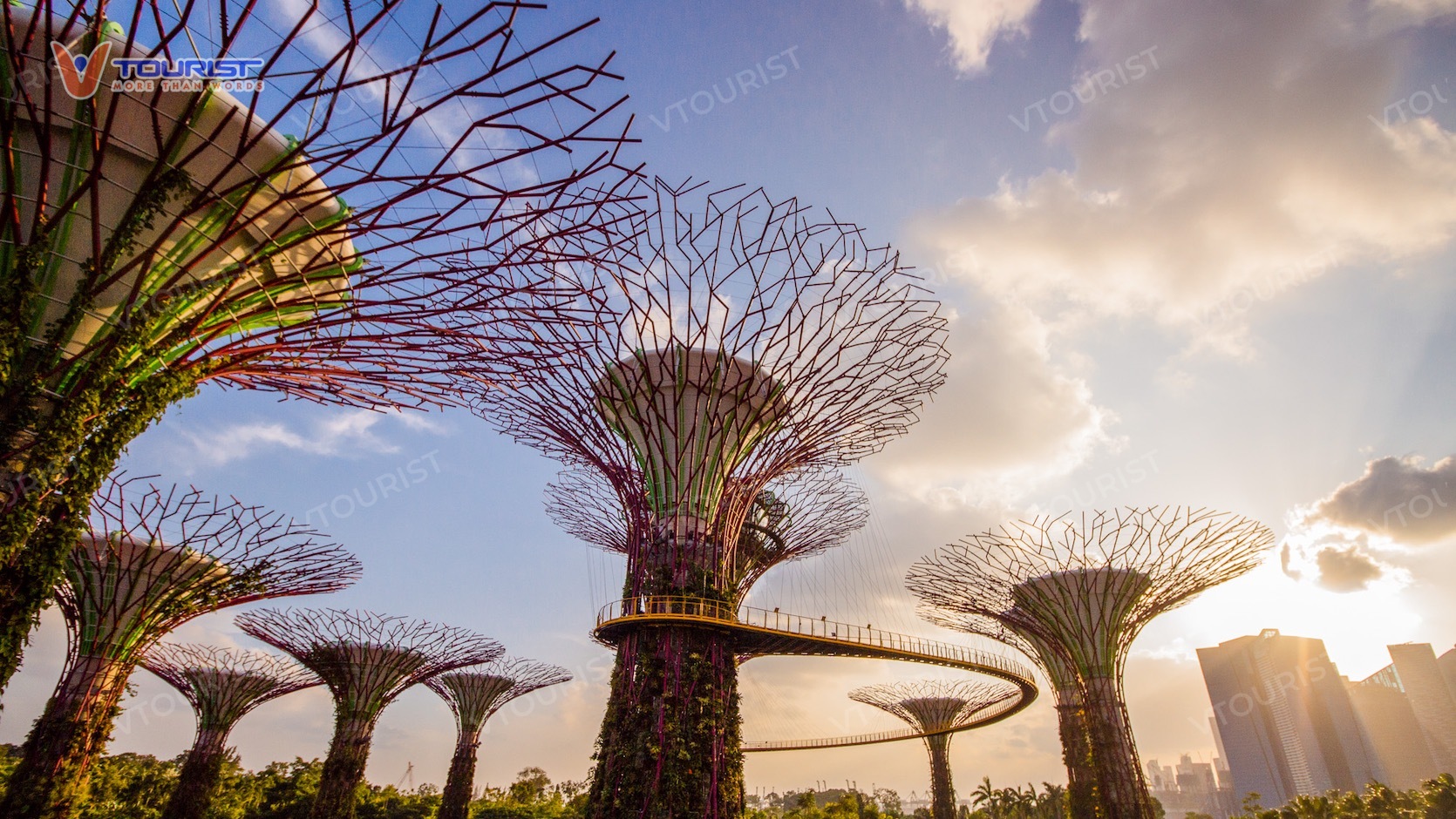 Bạn cần lưu ý một số quy tắc khi đến tham quan Gardens by the Bay 