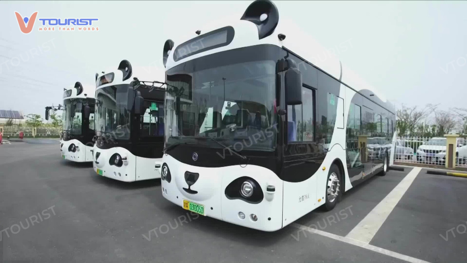 Xe bus du lịch gấu trúc độc đáo tại Thành Đô