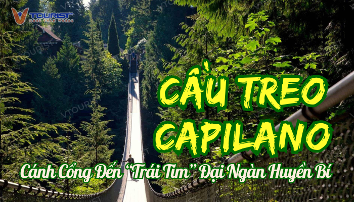 Cầu treo Capilano là một trong những cây cầu treo cổ nhất còn tồn tại ở Bắc Mỹ, với chiều dài 137m Capilano không chỉ là một kỳ quan kiến trúc, mà còn là cánh cổng đưa bạn vào một thế giới thiên nhiên kỳ diệu.