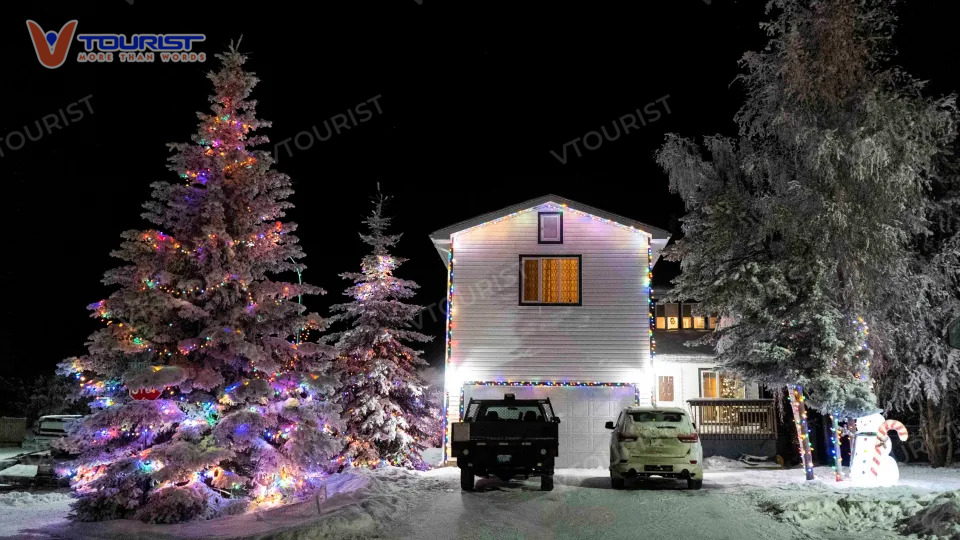 Hàng trăm cây thông Noel khổng lồ xuất hiện trên khắp các đường phố Yellowknife