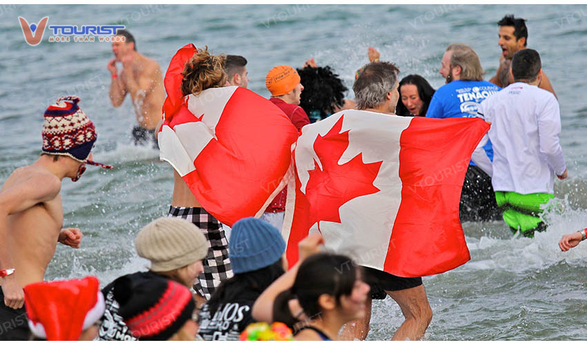 Lễ Hội Polar Bear Dip