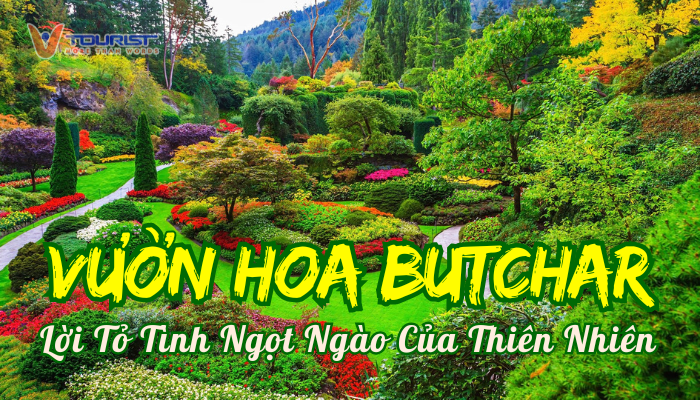 Vườn hoa Butchart là một câu chuyện tuyệt vời về sự bến đổi của thiên nhiên, với lịch sử tồn tại hơn 100 năm, là nơi sinh sống của hàng trăm loài thực vật phong phú đến từ khắp nơi trên thế giới.