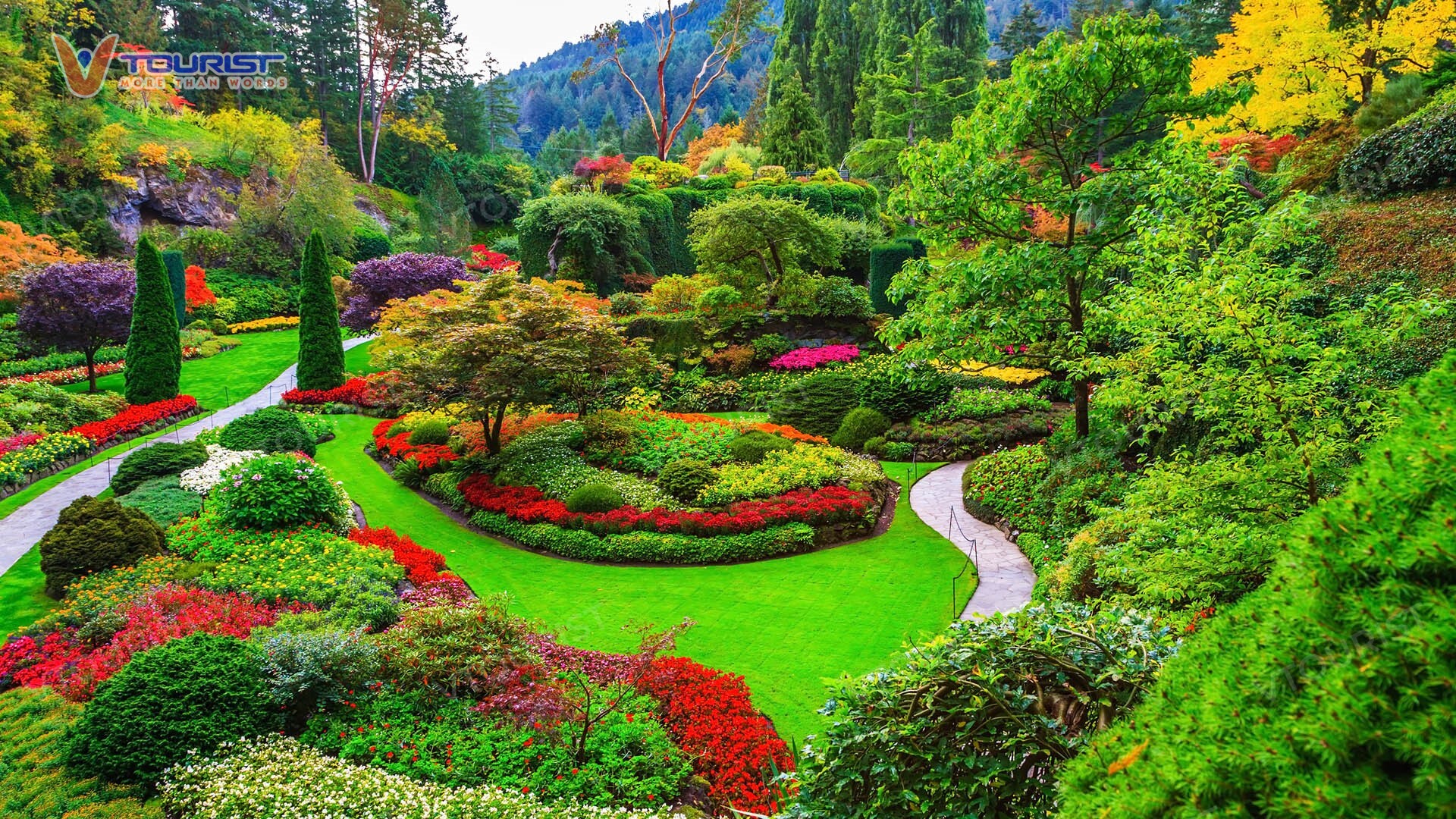 Sunken Garden là “trung tâm sự sống” của Butchart