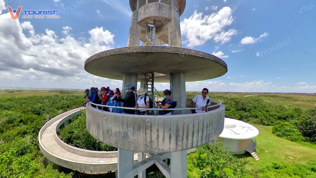 Từ đài quan sát du khách có thể ngắm nhìn toàn cảnh thiên nhiên hùng vĩ của Everglades