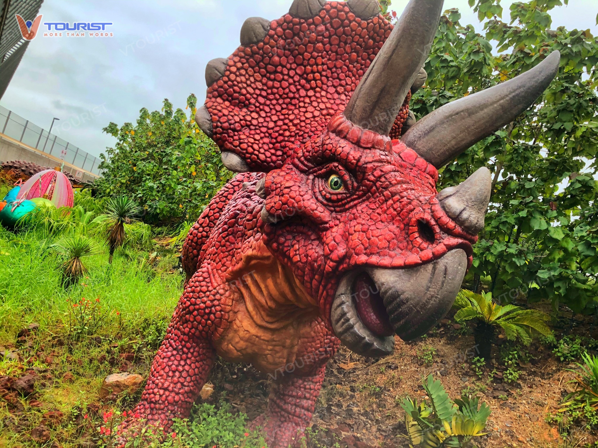 Khủng long ba sừng Triceratops