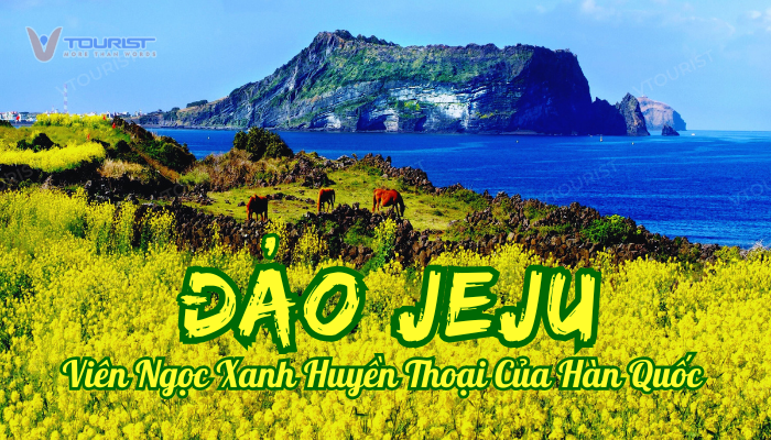 Đảo Jeju nơi tình yêu len lõi qua từng lớp đá nhung nham hình thành cách đây hàng triệu năm, những bãi biển trong xanh và vẻ đẹp lãng mạn của thiên nhiên