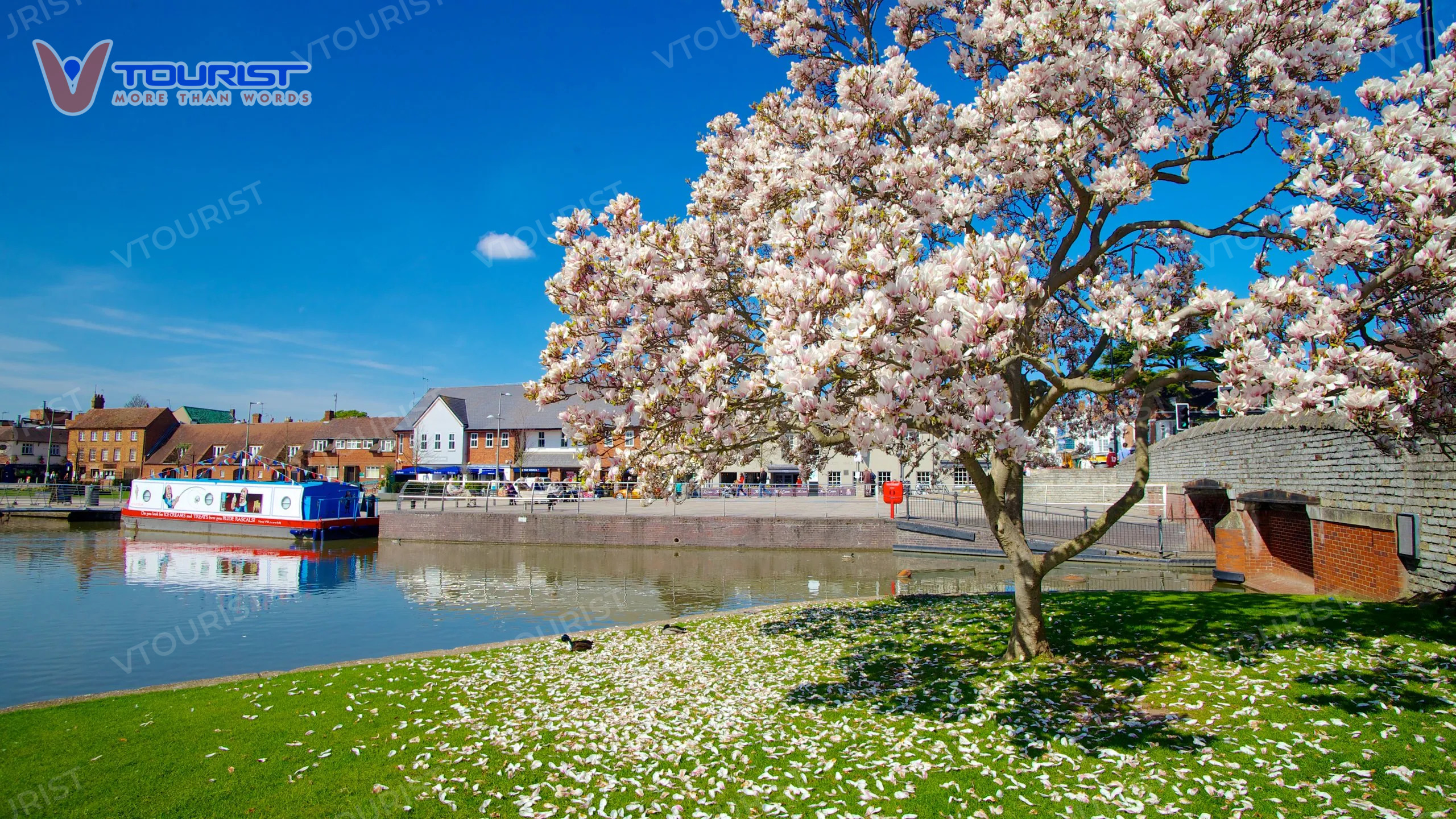 Mùa xuân lãng mạn bên bờ sông Avon