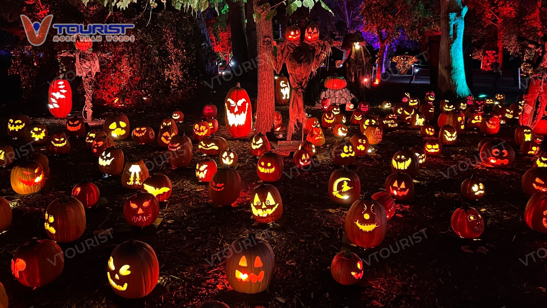 Hình ảnh những quả bí ngô với khuôn mặt kinh dị xuất hiện trên khắp các con phố Mỹ trong mùa lễ Halloween 