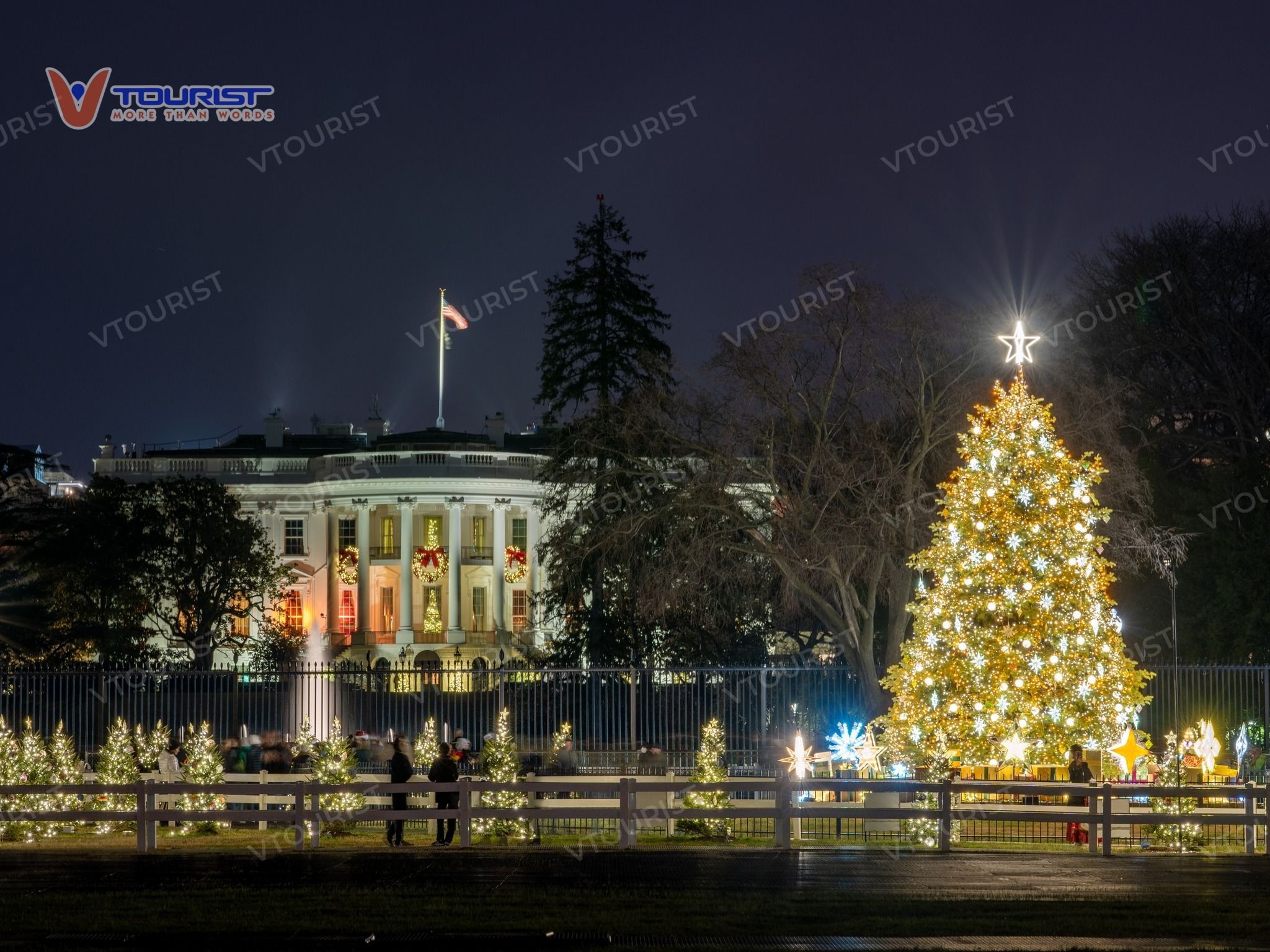 Cây thông “quốc gia” đầu tiên được mang từ Vermont về thủ đô với chiều cao 14 mét