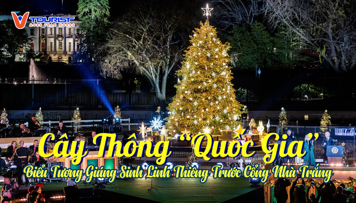 Đón Giáng Sinh 2025 tại Washington D.C. và hòa mình vào lễ thắp sáng cây thông “quốc gia” rực rỡ trước Nhà Trắng – sự kiện biểu tượng mùa lễ hội nước Mỹ.