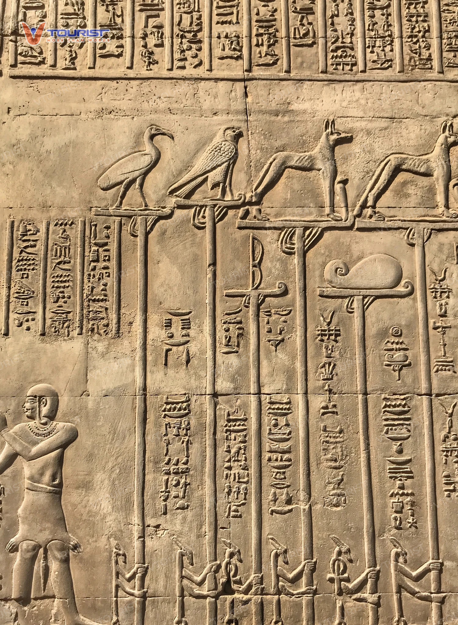 Người Ai Cập cổ đại là những người đầu tiên tạo nên lịch 365 ngày, một phát minh vĩ đại của nhân loại