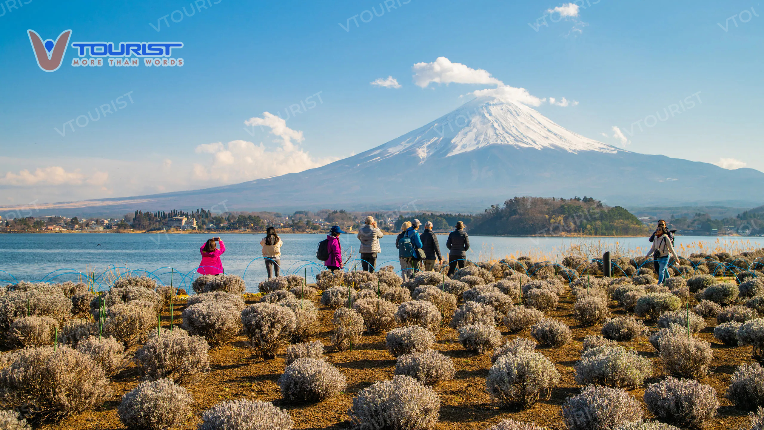 Núi Phú Sĩ là một trong những điểm đến hiếm hoi sở hữu cảnh quang 4 mùa đẹp quanh năm