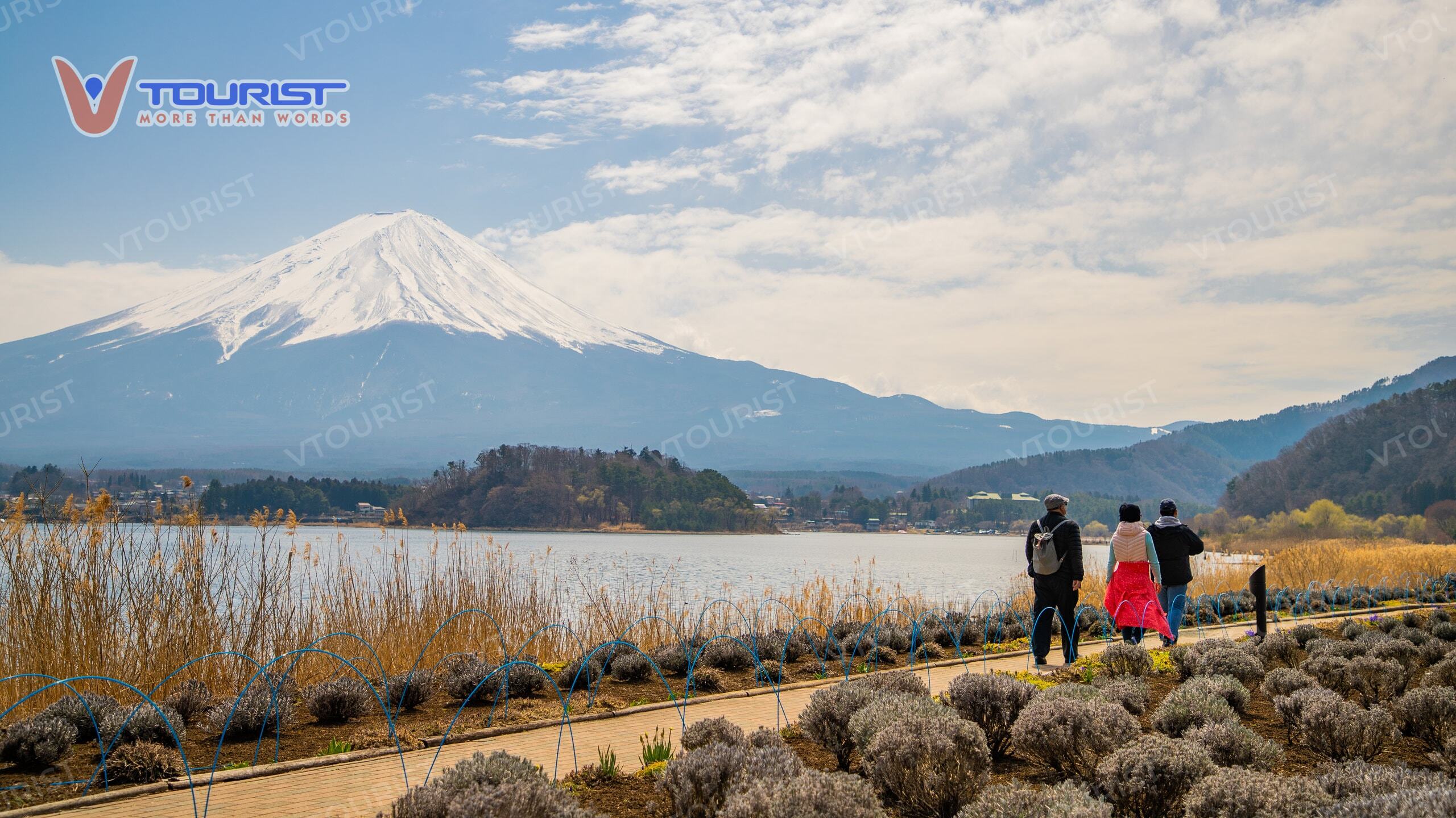Có nhiều cung đường dẫn thẳng lên núi Phú Sĩ với nhiều độ cao khác nhau