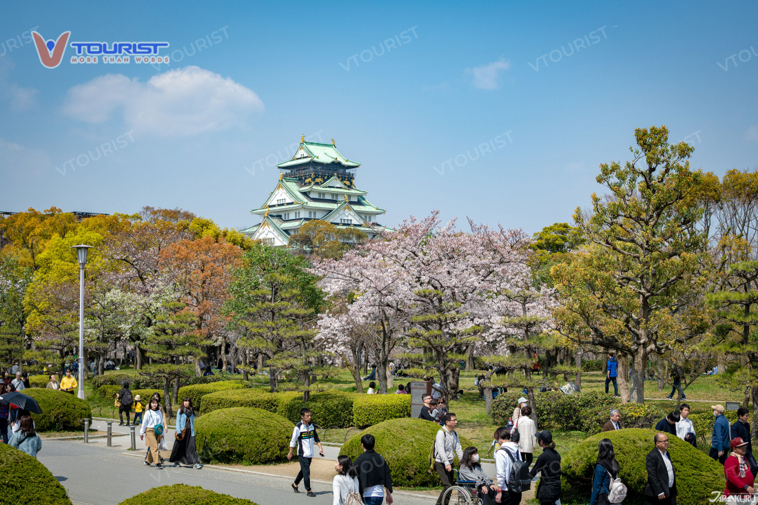 Mùa xuân là thời điểm du lịch đến lâu đài Osaka được yêu thích nhất trong năm